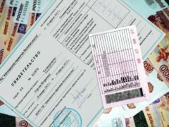 Порядок получения водительского удостоверения после сдачи экзамена в 2018 году